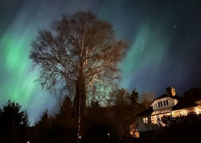 Apartman Panoramic Fjord View Near Bergen