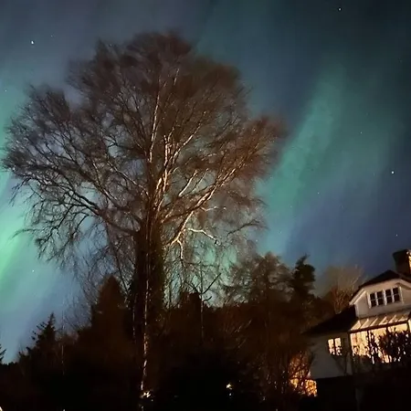 Apartamento Panoramic Fjord View Near Bergen